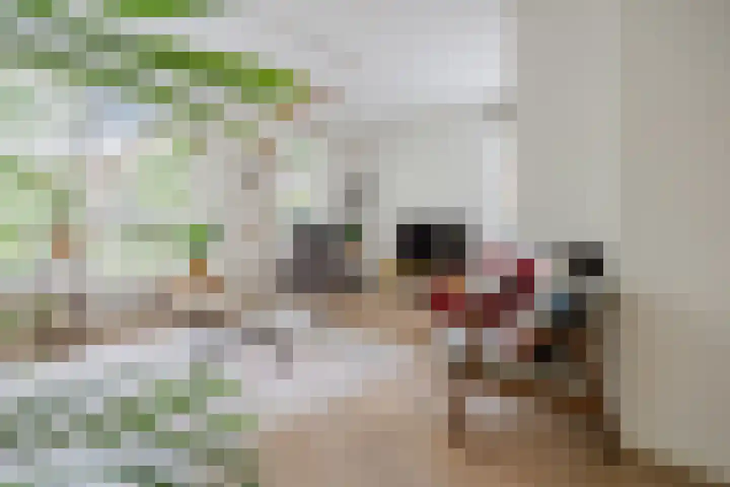 Kleine Wiel 12 Gorinchem thumbnail 5