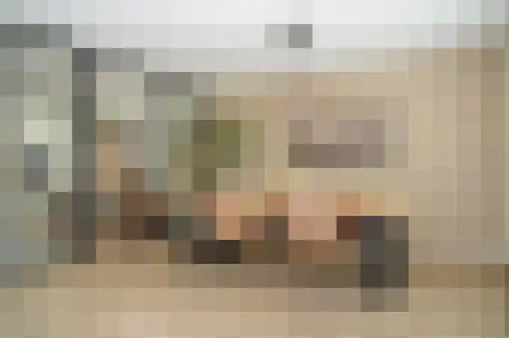 Kleine Wiel 23 Beneden-Leeuwen thumbnail 14