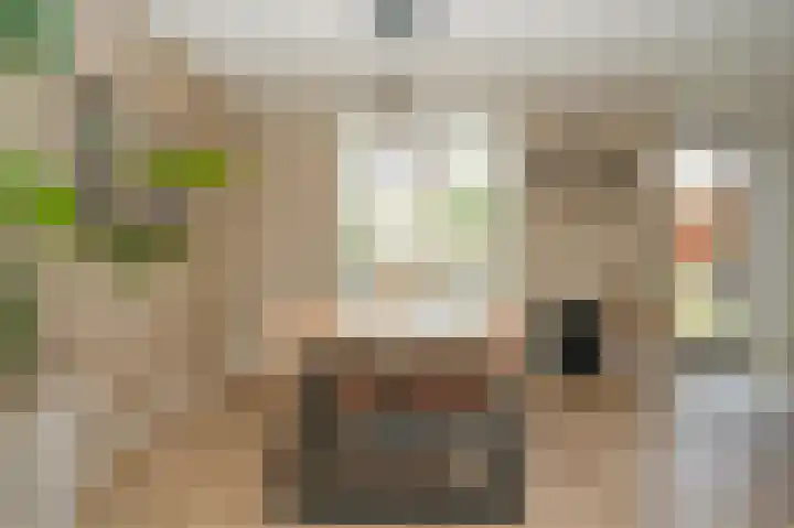 Kleine Wiel 23 Beneden-Leeuwen thumbnail 15
