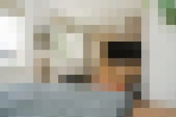 Kleine Wiel 23 Beneden-Leeuwen thumbnail 21