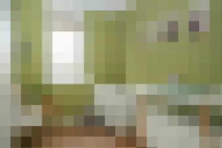 Kleine Wiel 23 Beneden-Leeuwen thumbnail 24
