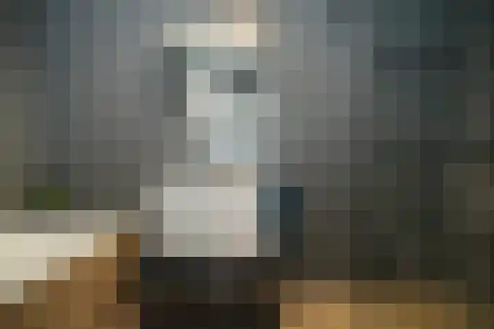 Kleine Wiel 23 Beneden-Leeuwen thumbnail 25