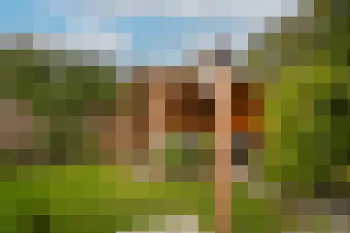 Kleine Wiel 23 Beneden-Leeuwen thumbnail 32