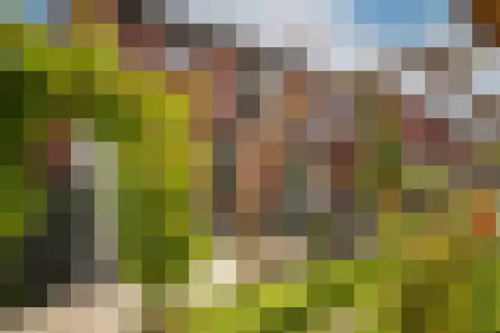 Kleine Wiel 23 Beneden-Leeuwen thumbnail 34