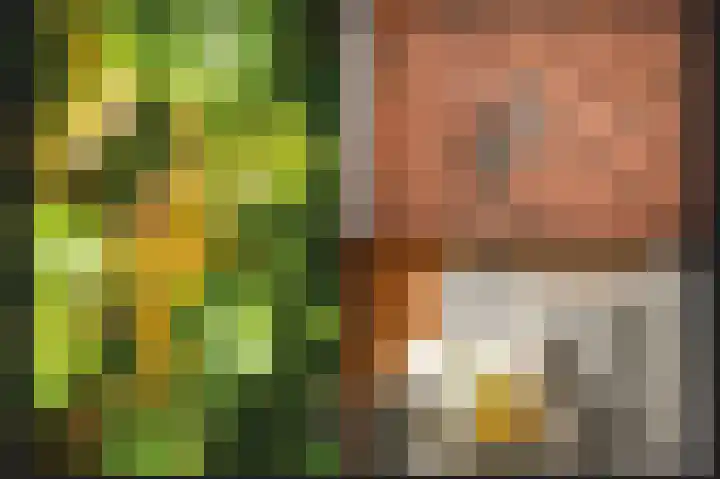 Kleine Wiel 23 Beneden-Leeuwen thumbnail 35