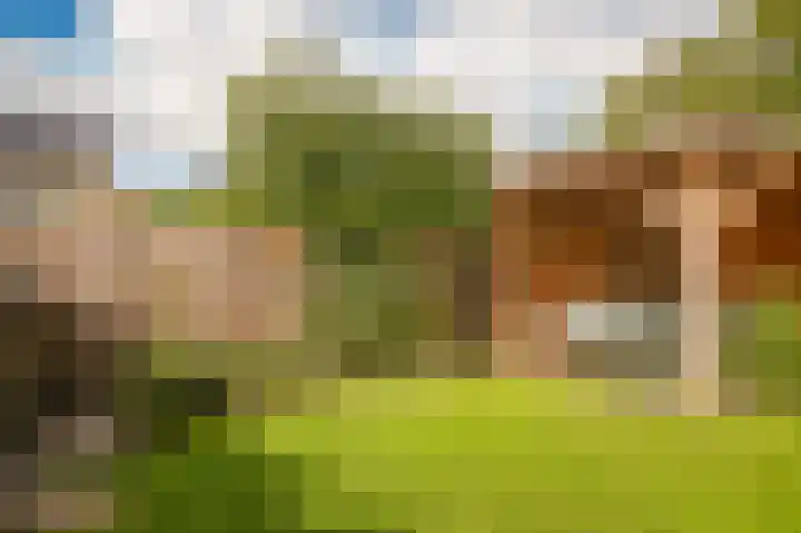 Kleine Wiel 23 Beneden-Leeuwen thumbnail 36