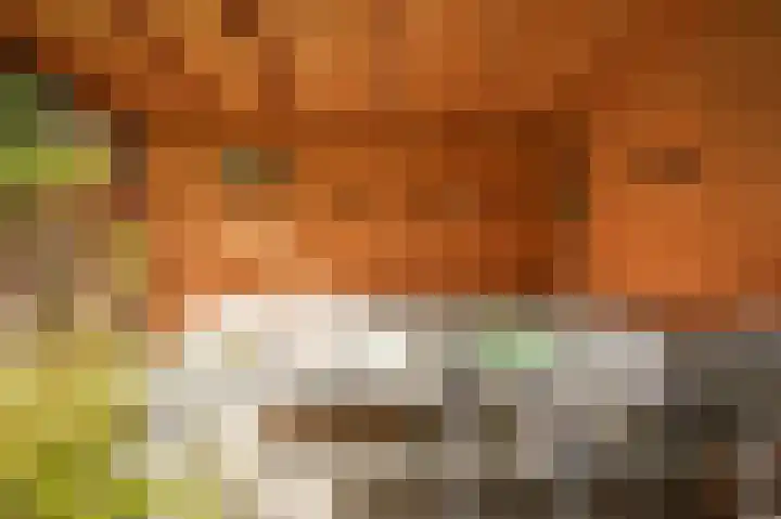 Kleine Wiel 23 Beneden-Leeuwen thumbnail 38