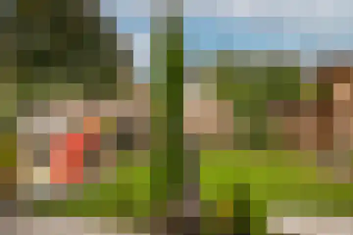 Kleine Wiel 23 Beneden-Leeuwen thumbnail 42