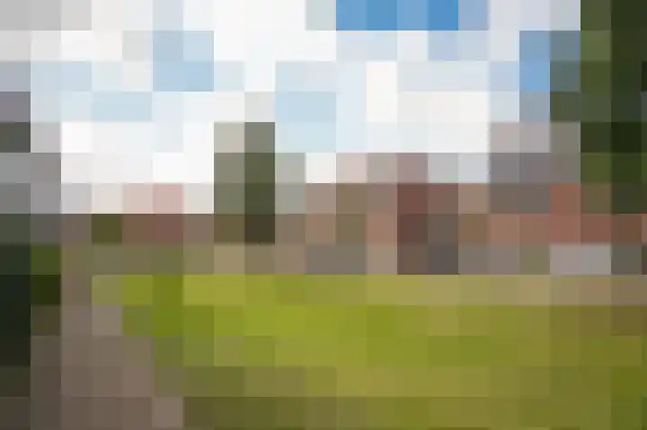 Kleine Wiel 23 Beneden-Leeuwen thumbnail 46