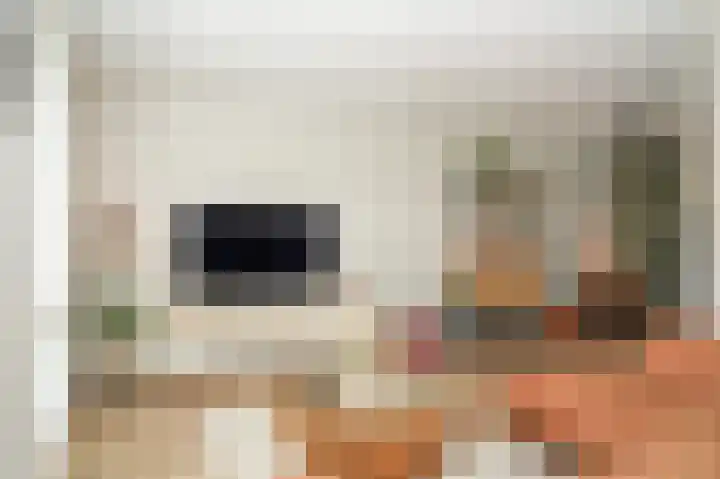 Kleine Wiel 23 Beneden-Leeuwen thumbnail 9