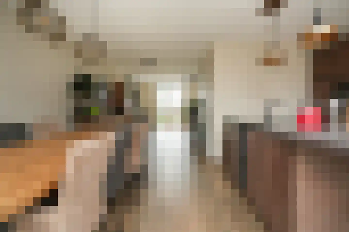 Kleine Wiel 25 Beneden-Leeuwen thumbnail 12