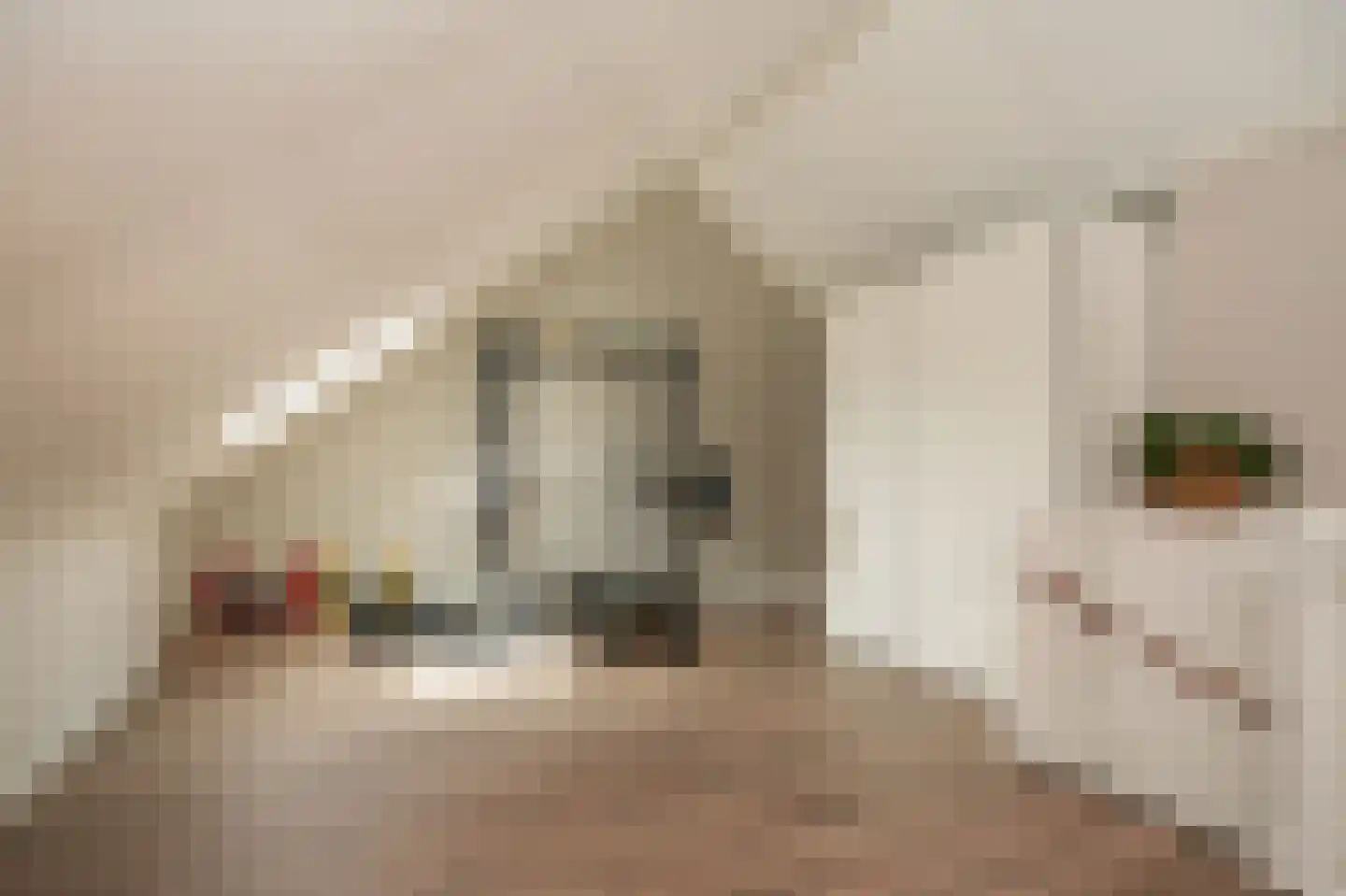 Kleine Wiel 25 Beneden-Leeuwen thumbnail 27