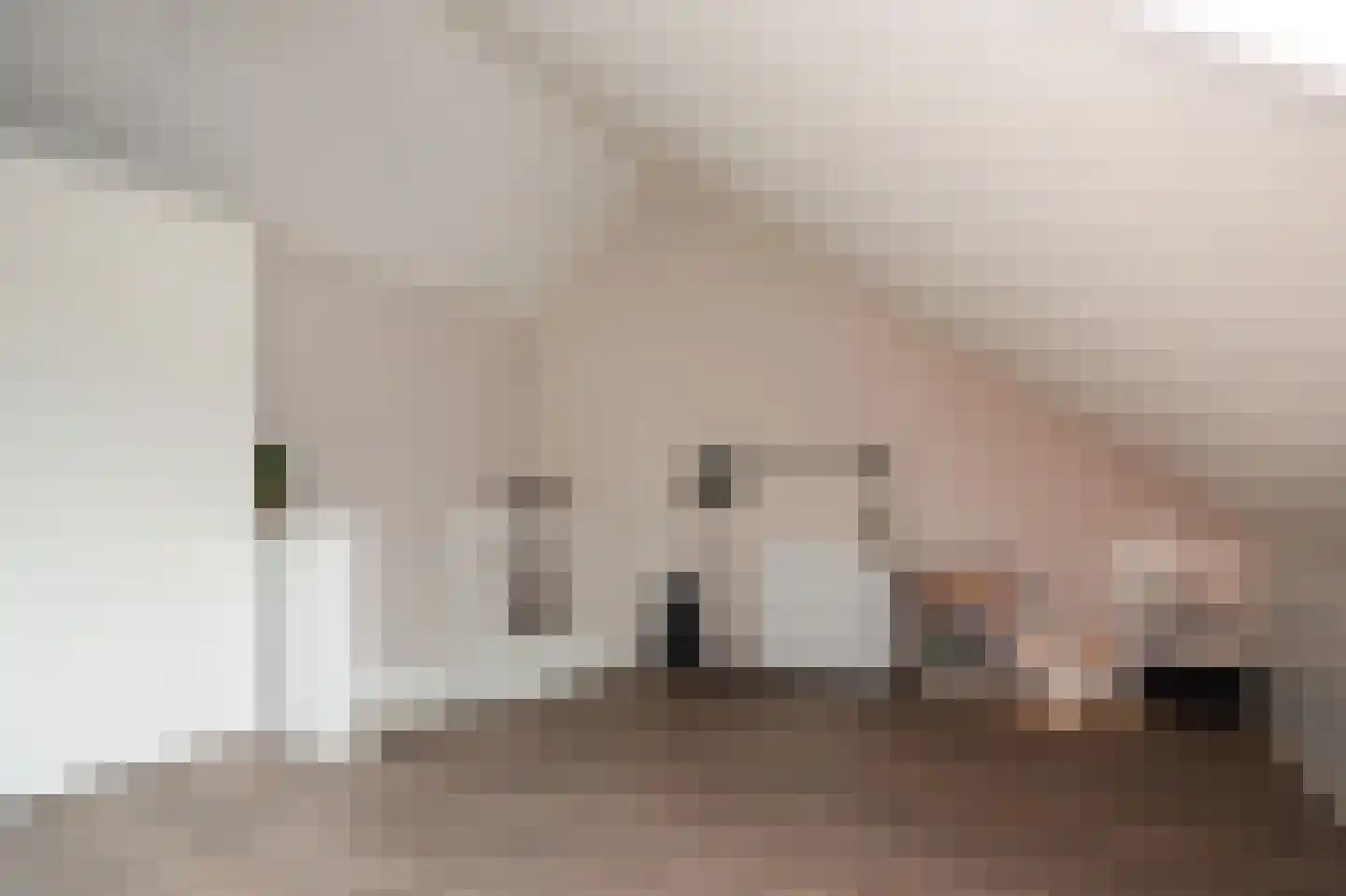 Kleine Wiel 25 Beneden-Leeuwen thumbnail 28