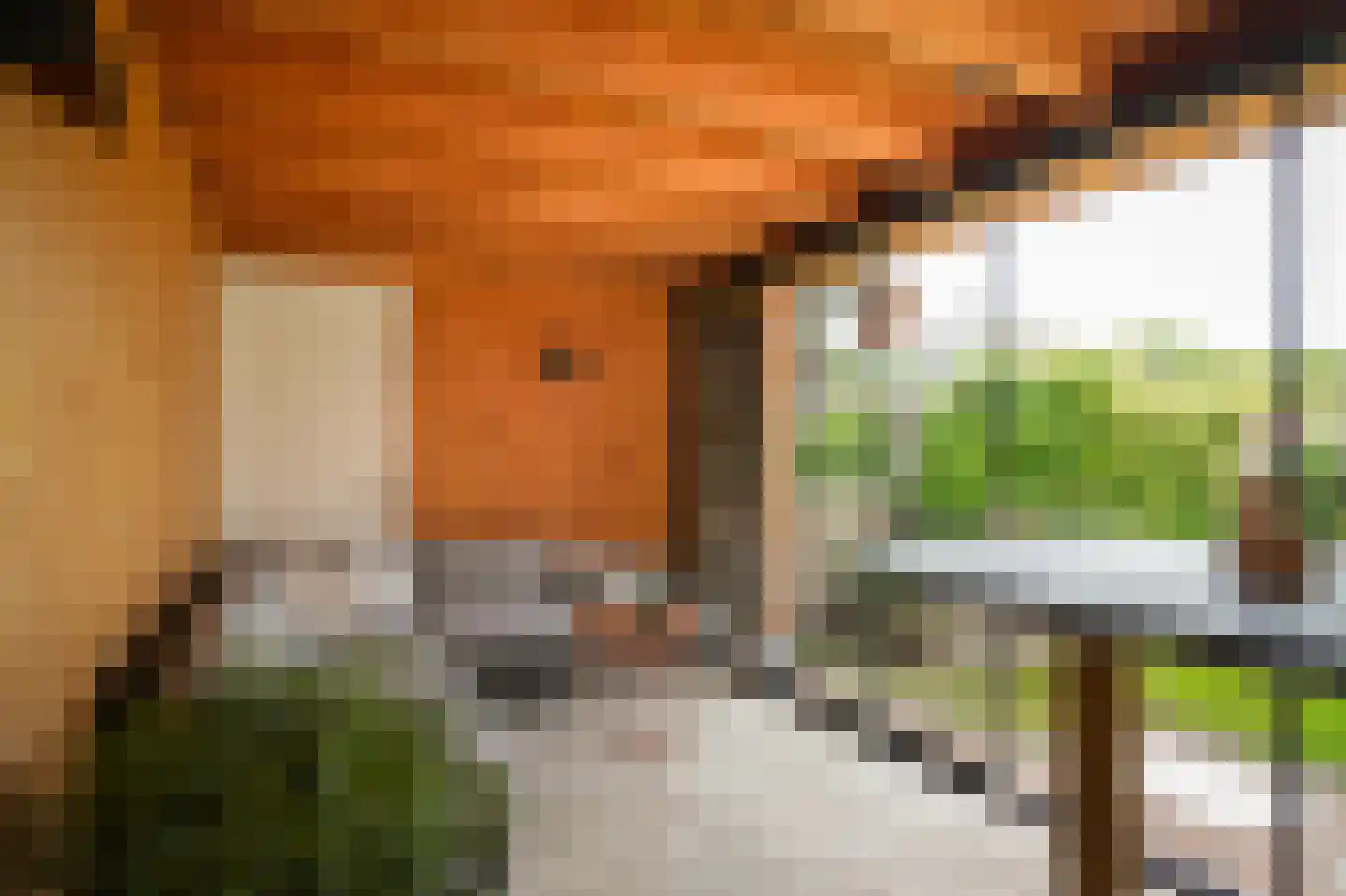 Kleine Wiel 25 Beneden-Leeuwen thumbnail 33