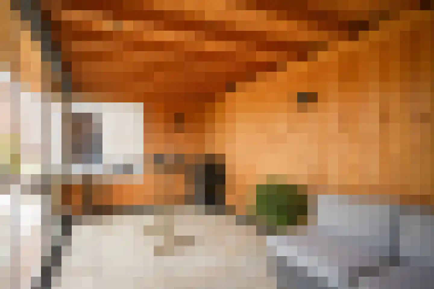 Kleine Wiel 25 Beneden-Leeuwen thumbnail 35