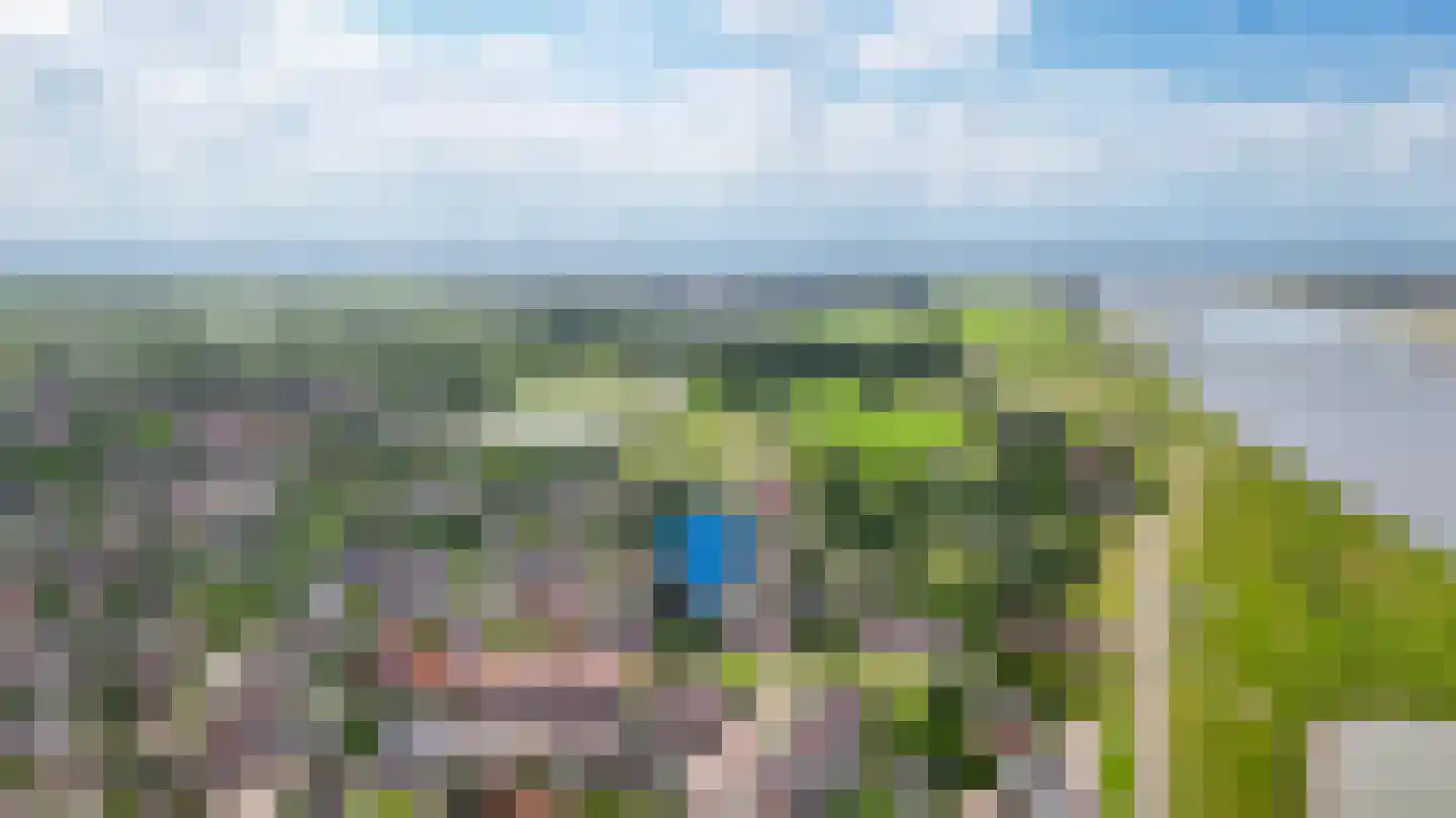 Kleine Wiel 25 Beneden-Leeuwen thumbnail 47