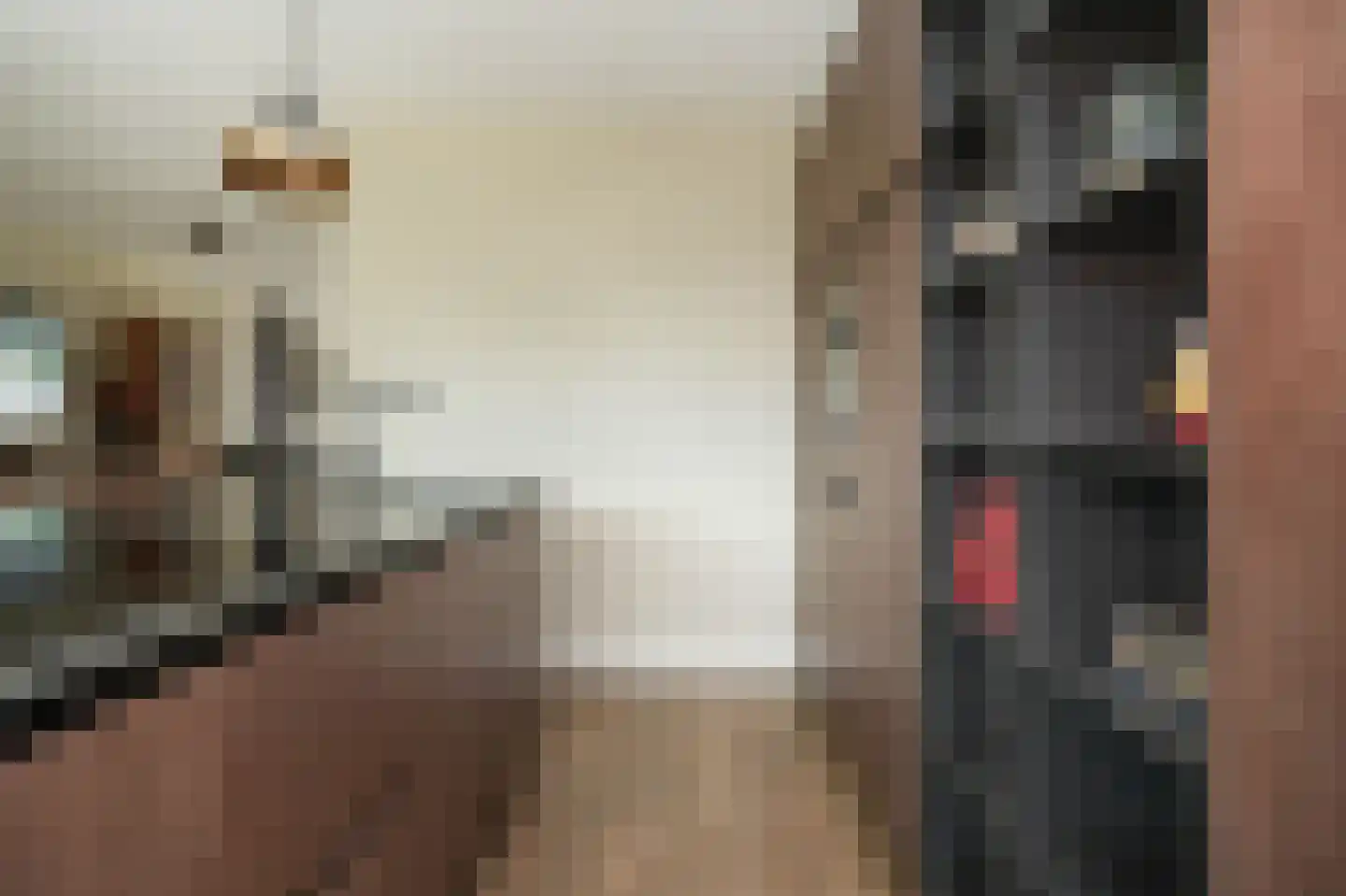 Kleine Wiel 25 Beneden-Leeuwen thumbnail 8