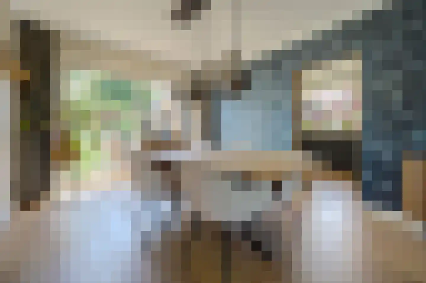 Kleine Wijken 20 's-Hertogenbosch thumbnail 11