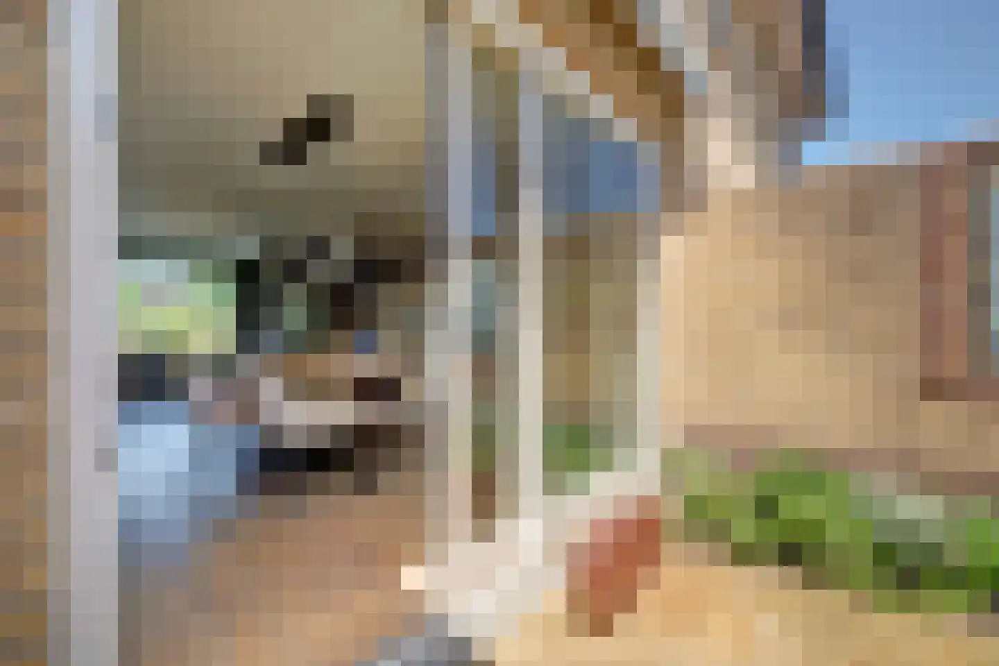 Kleine Wijken 20 's-Hertogenbosch thumbnail 12