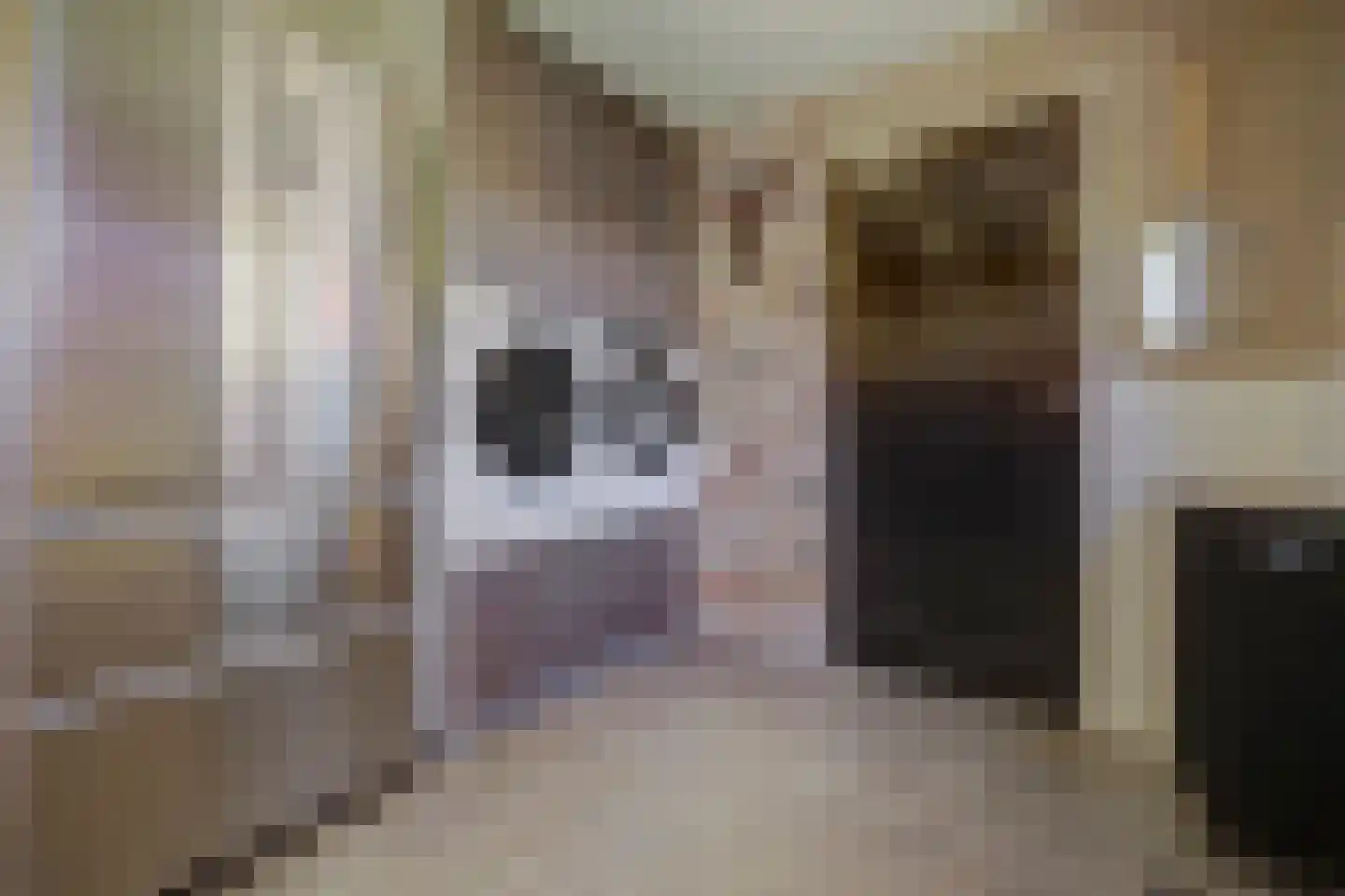 Kleine Wijken 20 's-Hertogenbosch thumbnail 18