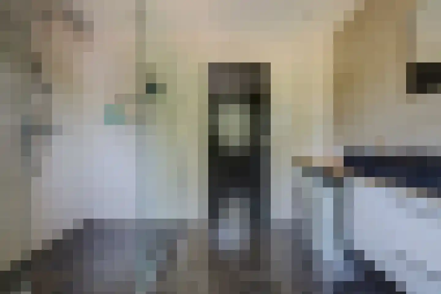 Kleine Wijken 20 's-Hertogenbosch thumbnail 33