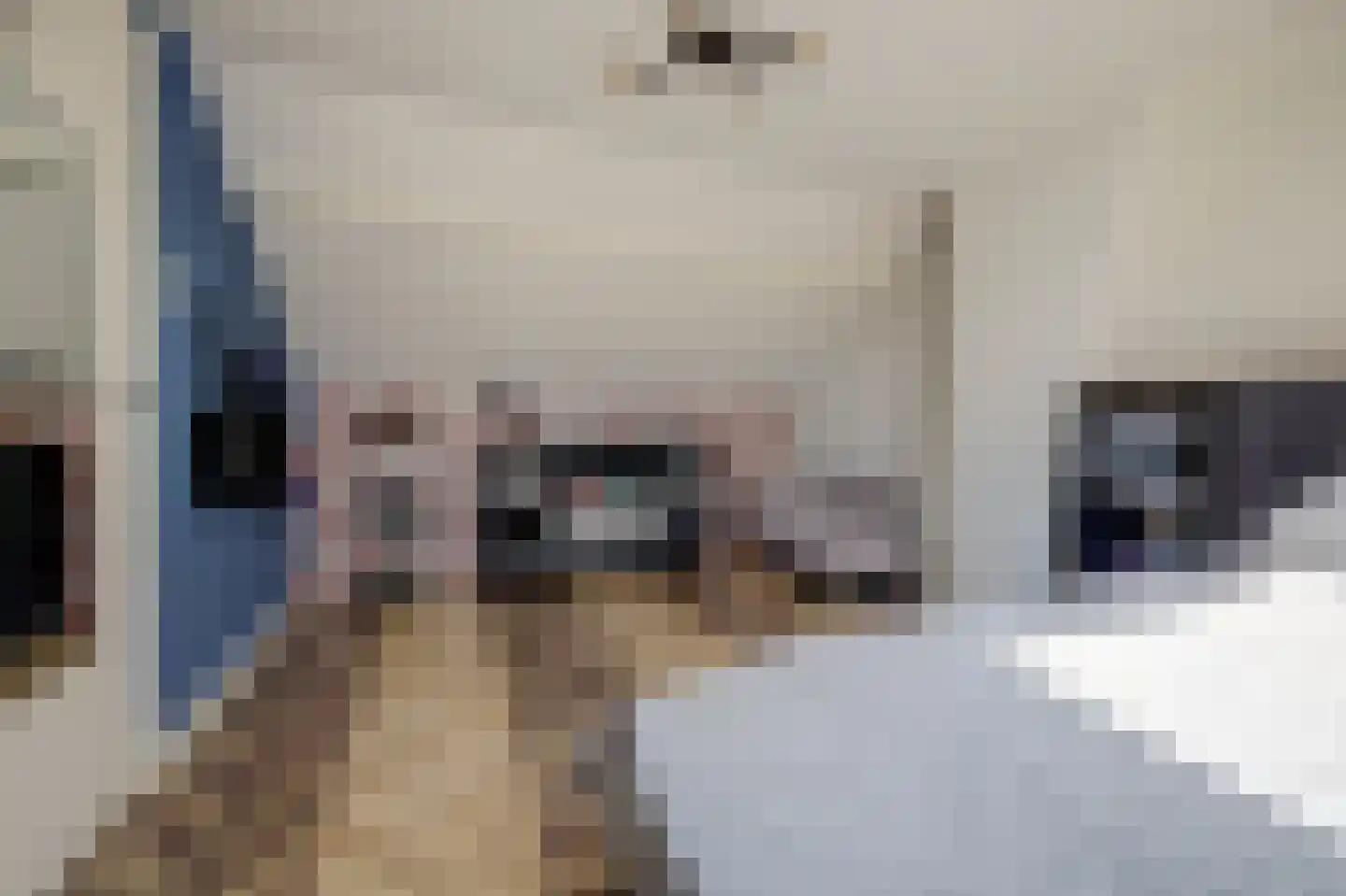 Kleine Wijken 20 's-Hertogenbosch thumbnail 37