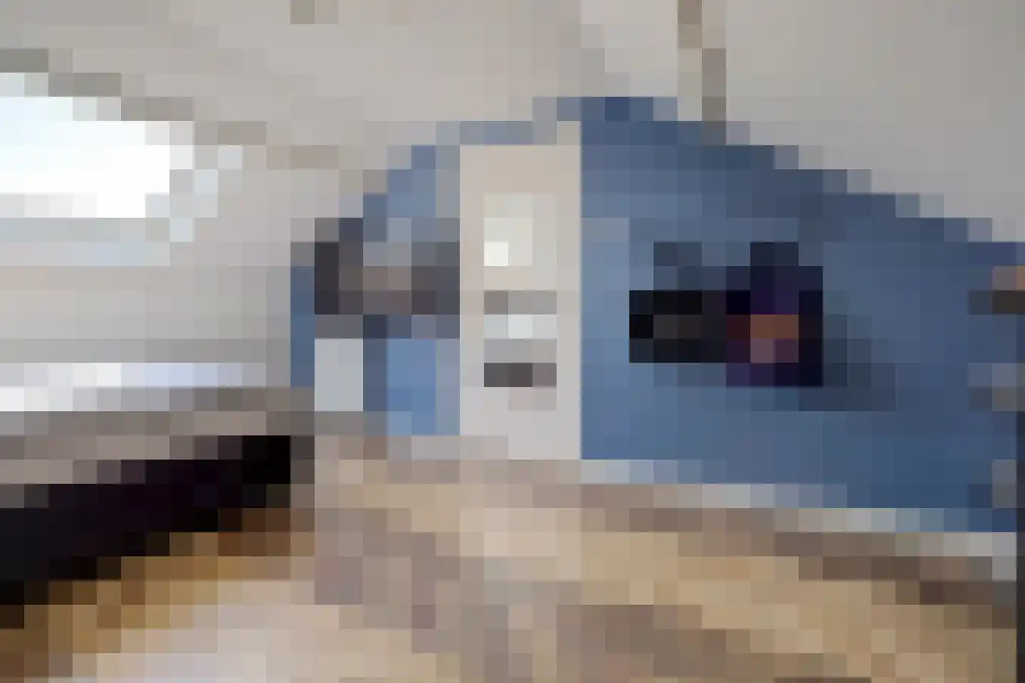 Kleine Wijken 20 's-Hertogenbosch thumbnail 38