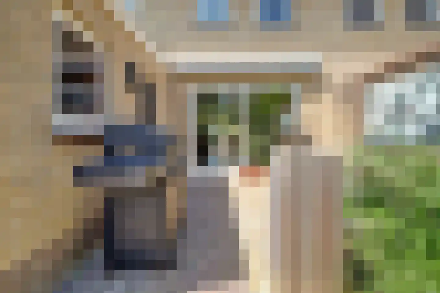 Kleine Wijken 20 's-Hertogenbosch thumbnail 39