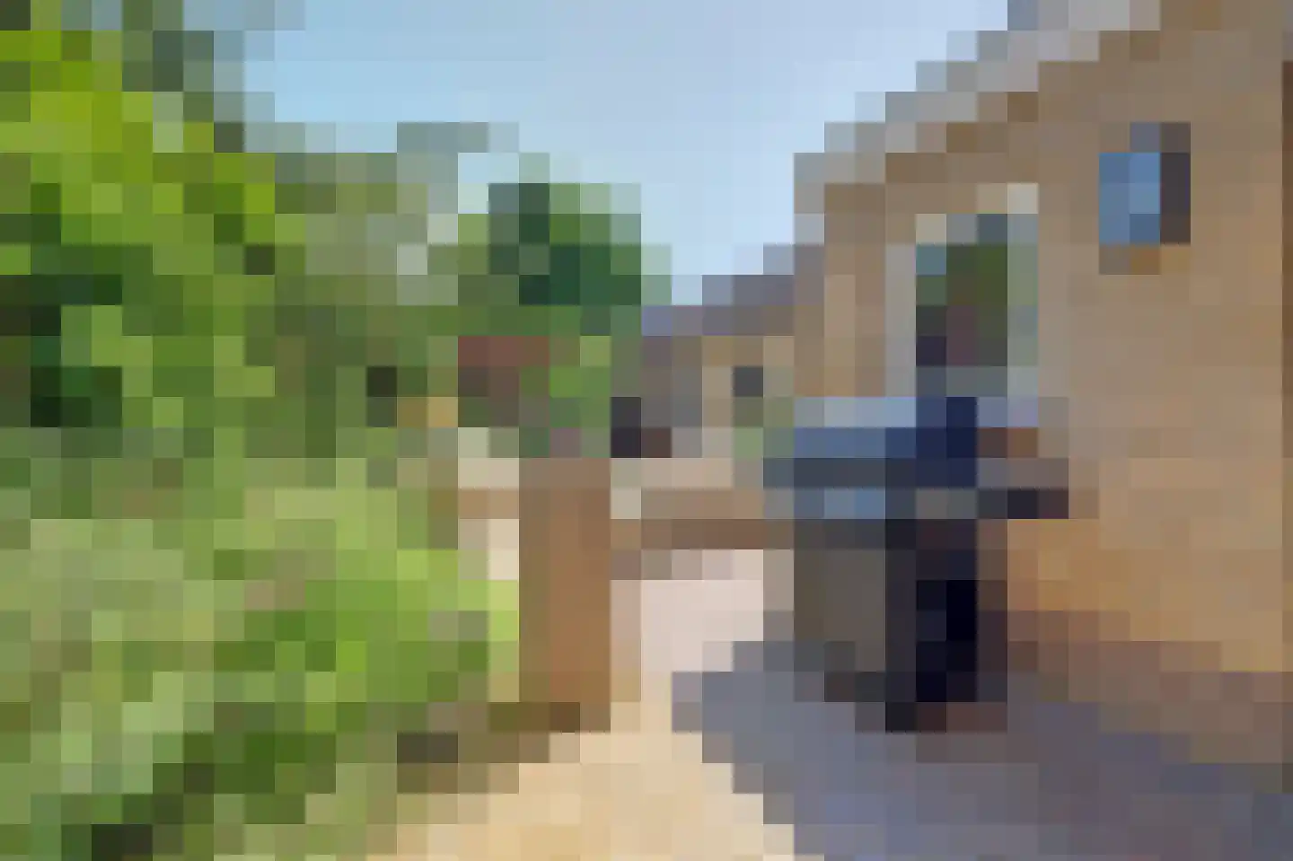 Kleine Wijken 20 's-Hertogenbosch thumbnail 40