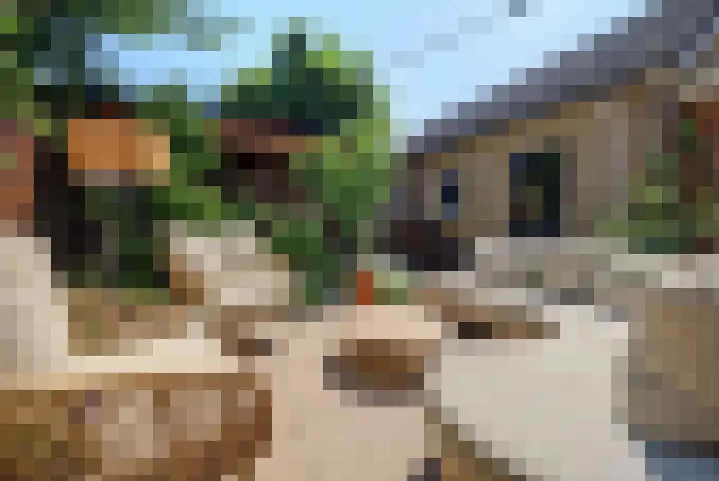 Kleine Wijken 20 's-Hertogenbosch thumbnail 41
