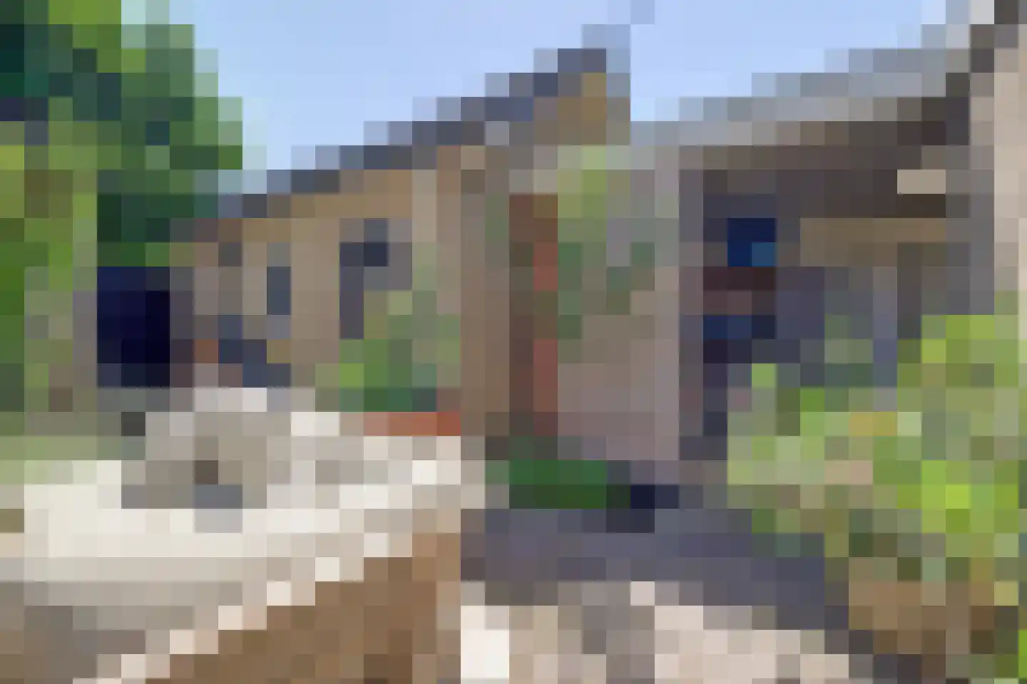 Kleine Wijken 20 's-Hertogenbosch thumbnail 42