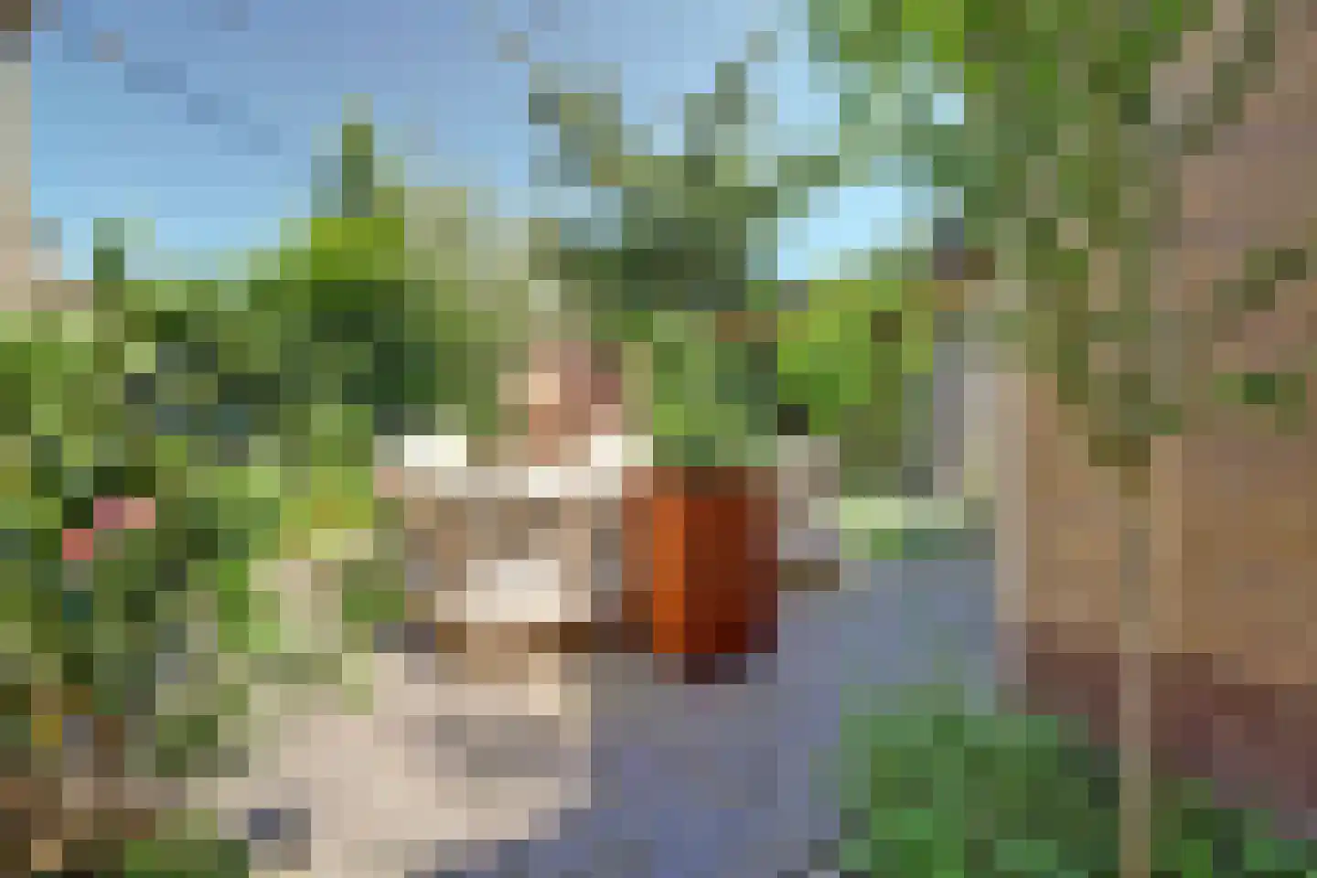 Kleine Wijken 20 's-Hertogenbosch thumbnail 43