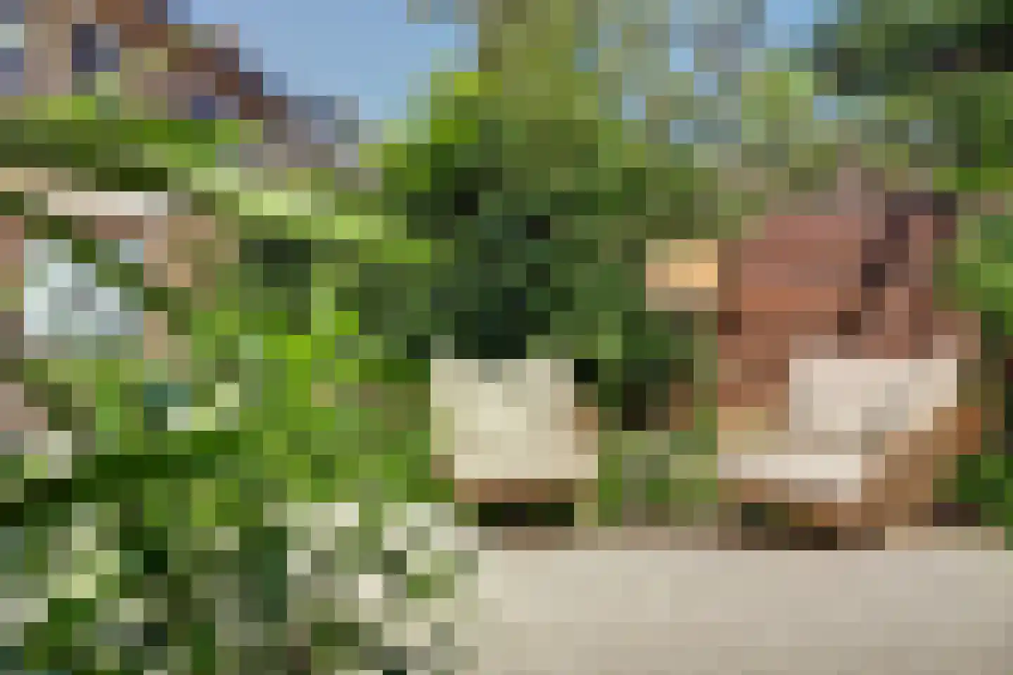 Kleine Wijken 20 's-Hertogenbosch thumbnail 44