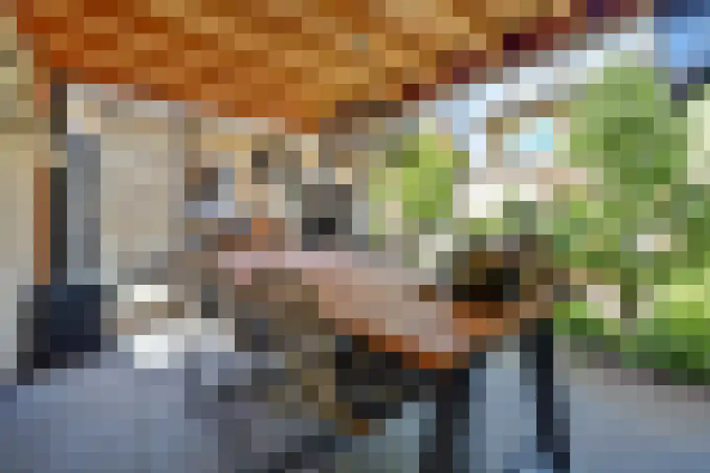 Kleine Wijken 20 's-Hertogenbosch thumbnail 45