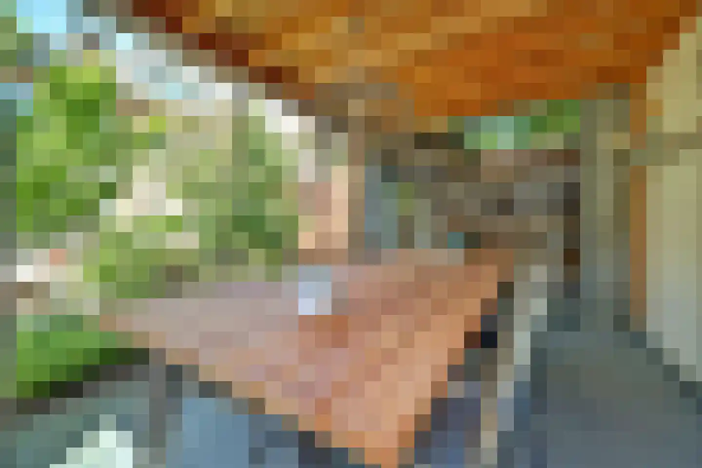 Kleine Wijken 20 's-Hertogenbosch thumbnail 46
