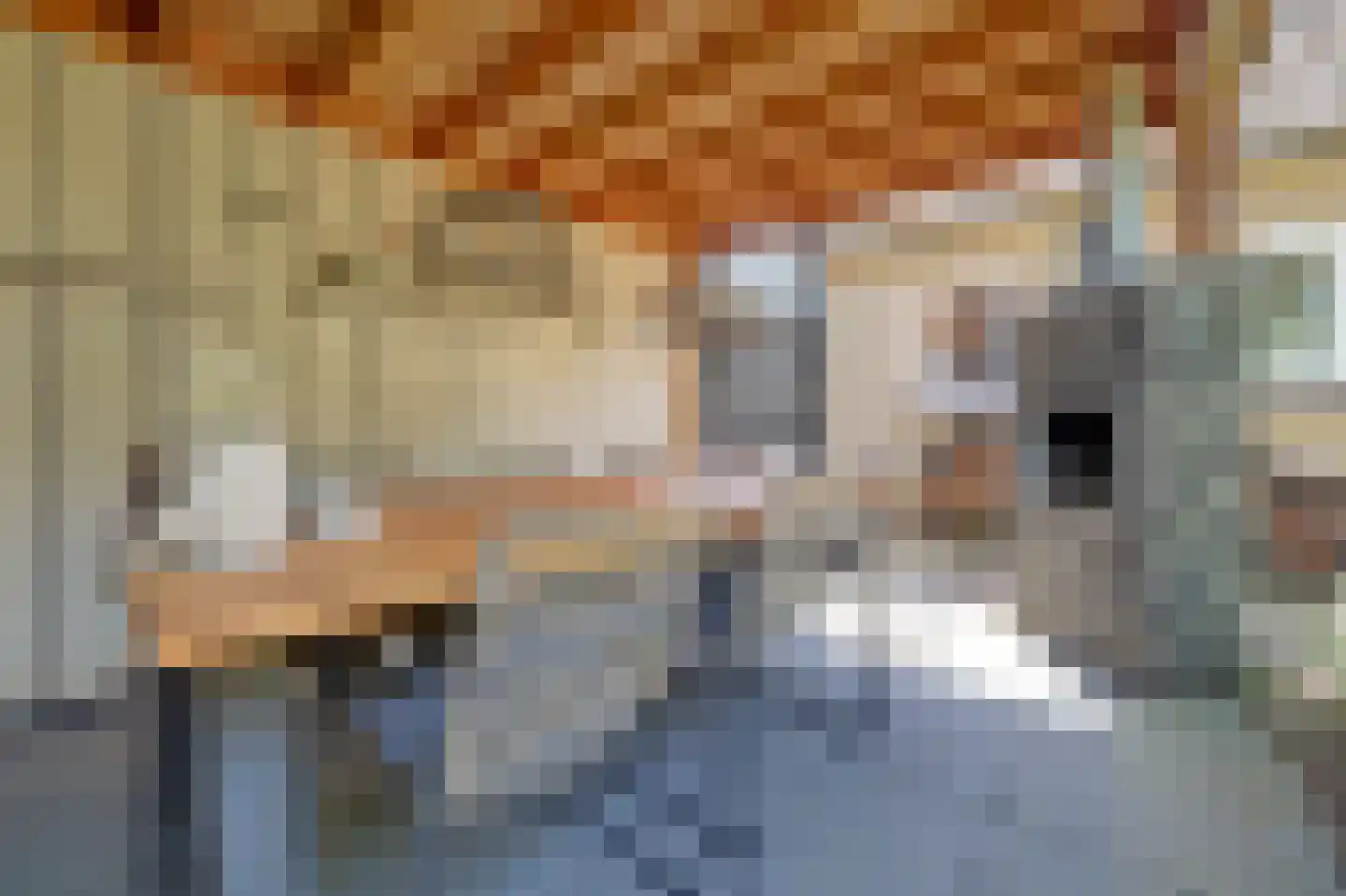 Kleine Wijken 20 's-Hertogenbosch thumbnail 47