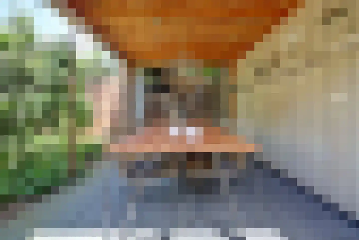 Kleine Wijken 20 's-Hertogenbosch thumbnail 48