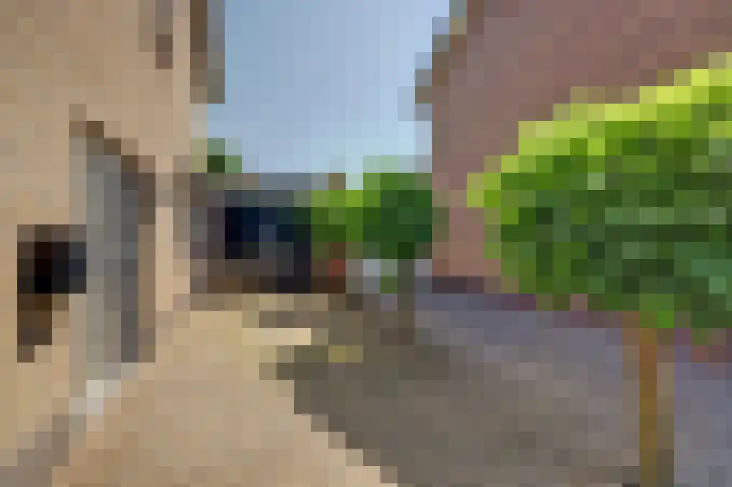 Kleine Wijken 20 's-Hertogenbosch thumbnail 53