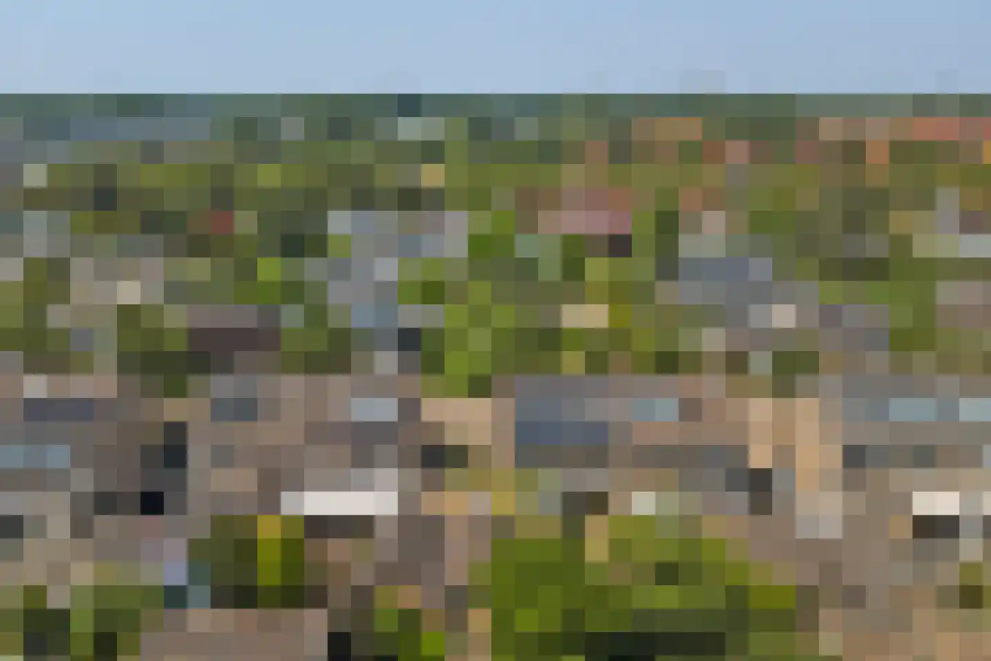 Kleine Wijken 20 's-Hertogenbosch thumbnail 56