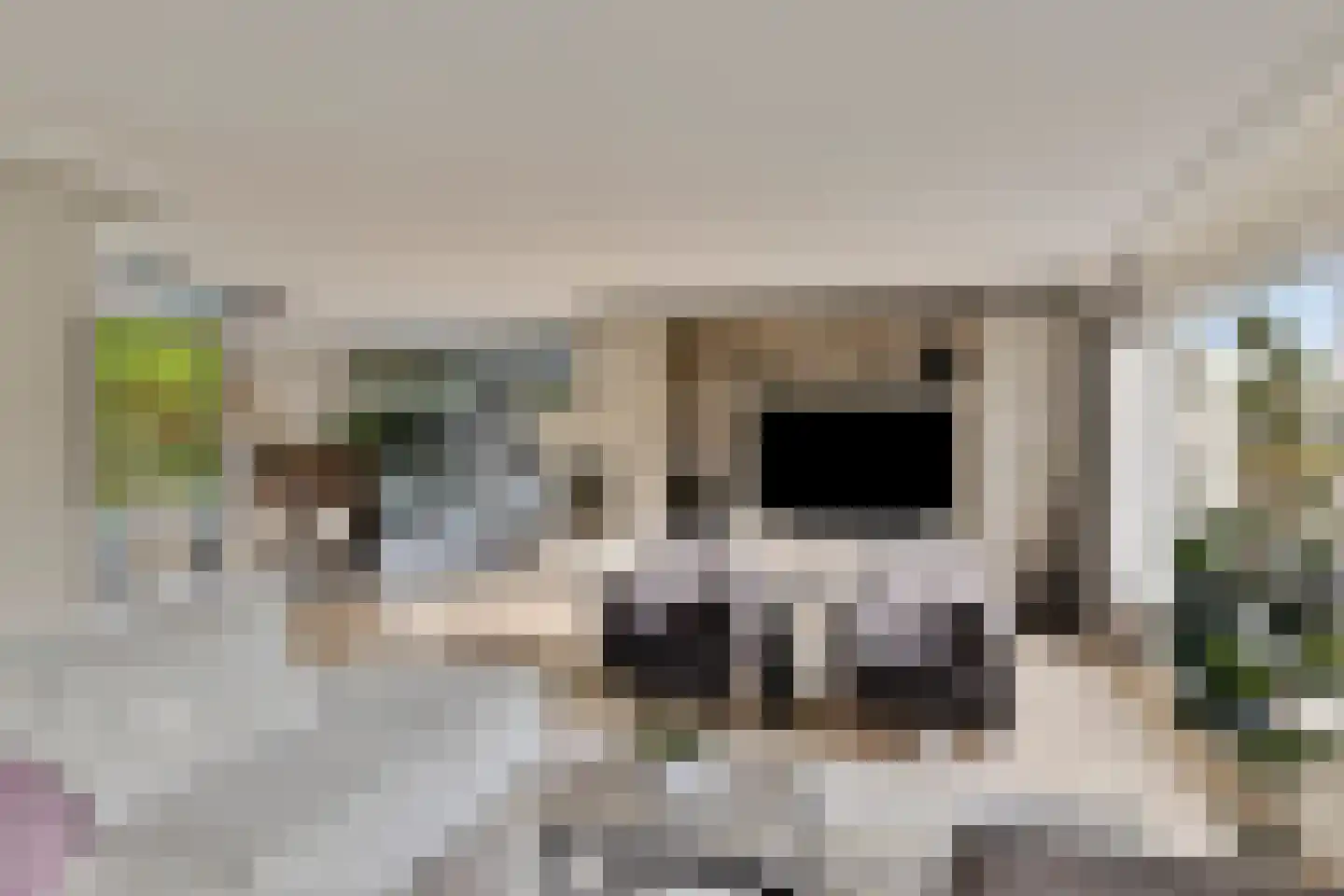 Kleine Wijken 27 's-Hertogenbosch thumbnail 11