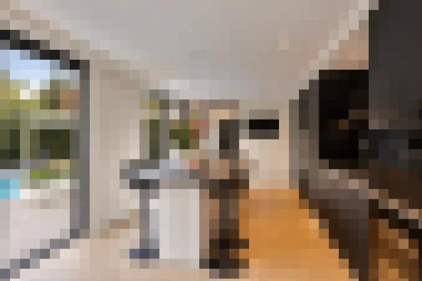 Kleine Wijken 27 's-Hertogenbosch thumbnail 15