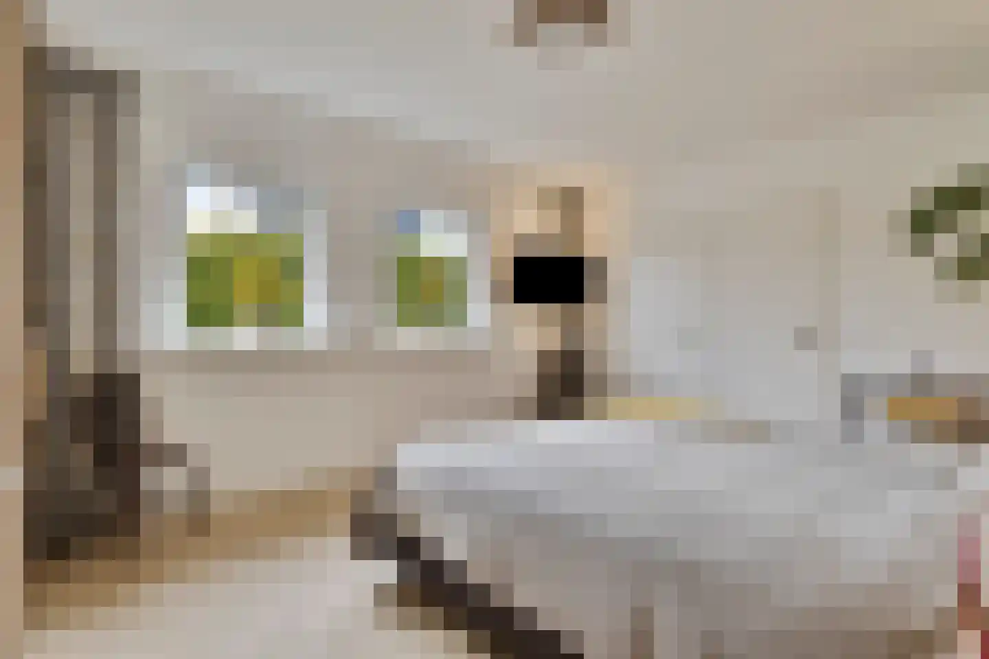 Kleine Wijken 27 's-Hertogenbosch thumbnail 26