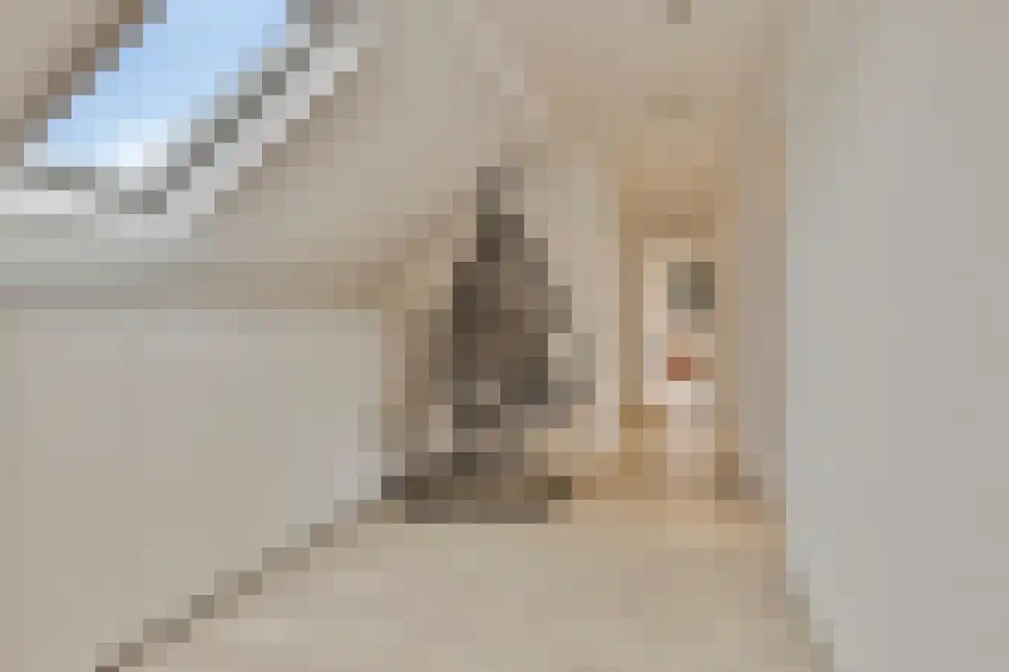 Kleine Wijken 27 's-Hertogenbosch thumbnail 32