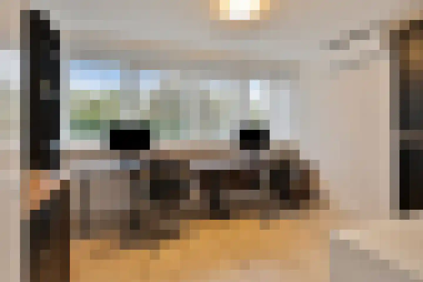 Kleine Wijken 27 's-Hertogenbosch thumbnail 34