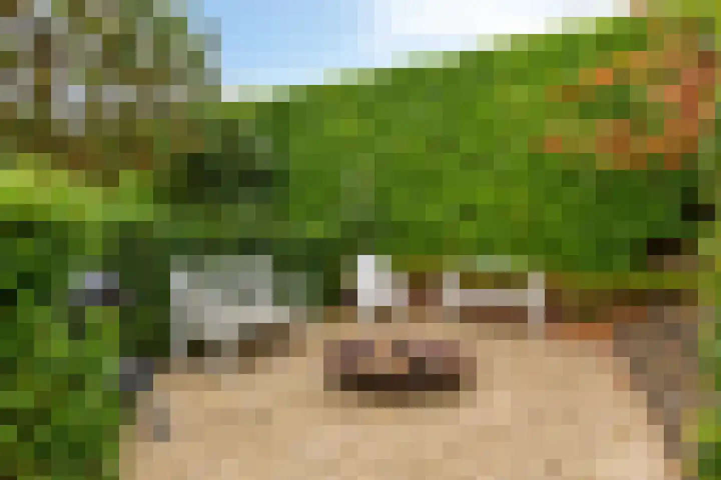 Kleine Wijken 27 's-Hertogenbosch thumbnail 46