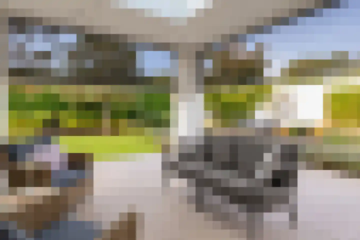 Kleine Wijken 27 's-Hertogenbosch thumbnail 49