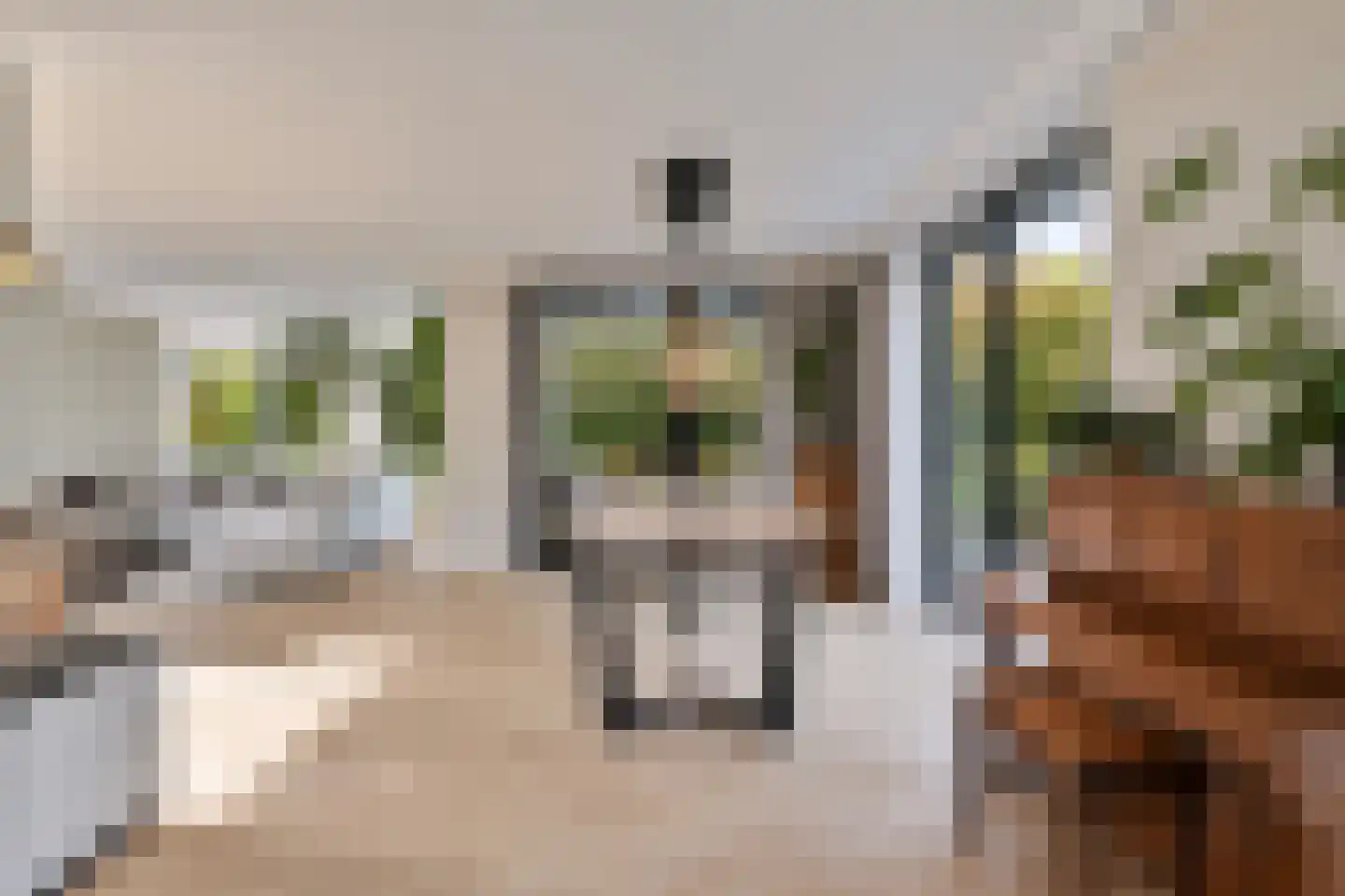 Kleine Wijken 27 's-Hertogenbosch thumbnail 6