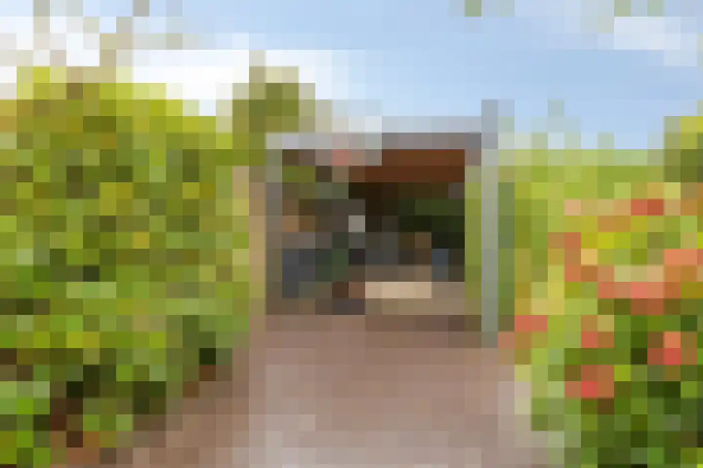 Kleine Wijken 27 's-Hertogenbosch thumbnail 65