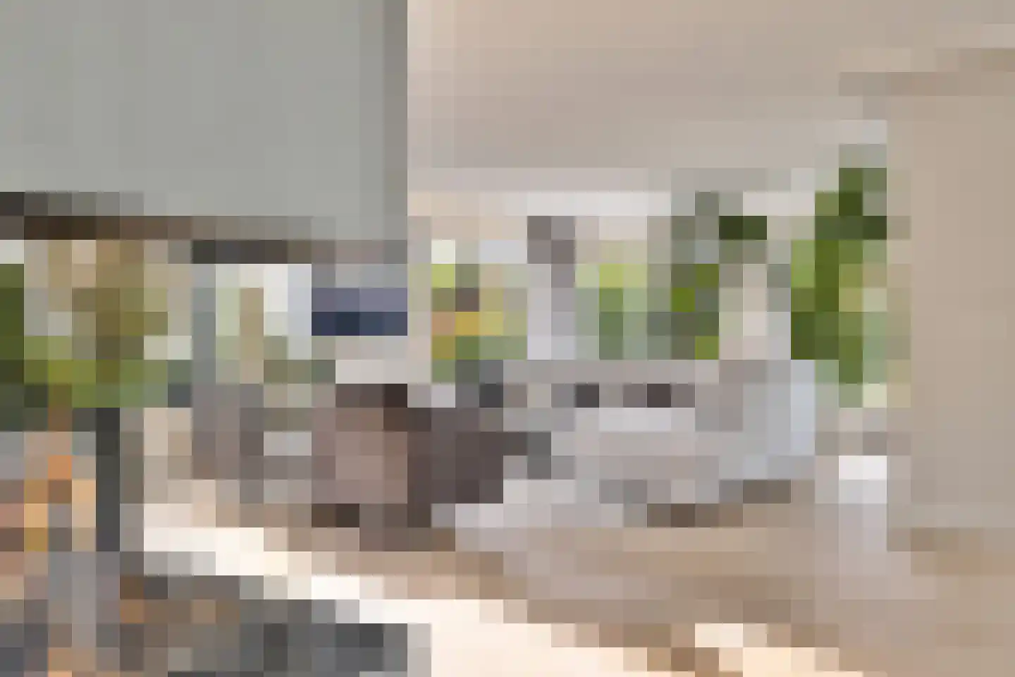 Kleine Wijken 27 's-Hertogenbosch thumbnail 7