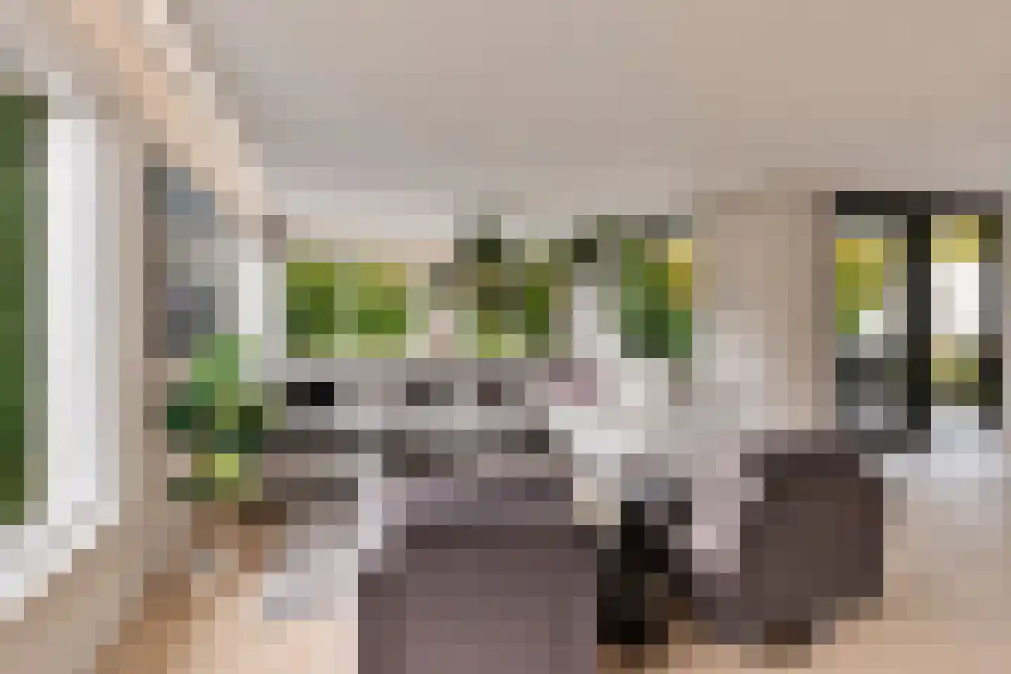 Kleine Wijken 27 's-Hertogenbosch thumbnail 8